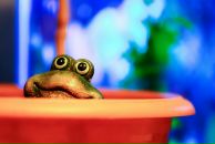 Фотография Лобанова Андрея