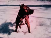 Dimka Dimka фотография #4 (источник - https://vk.com/id3165165)