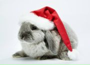 Фотография Дацковой Елены