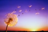 Фотография Елизаровой Кати