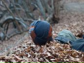 Фотография Проводника Сила