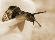 Фотография Ануфриевой Ульяны