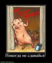 Андрій Данилів фотография #40 (источник - https://vk.com/id14294002)