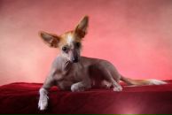 Фотография Бородиной Ирины