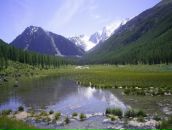 Фотография Григорьева Алексея