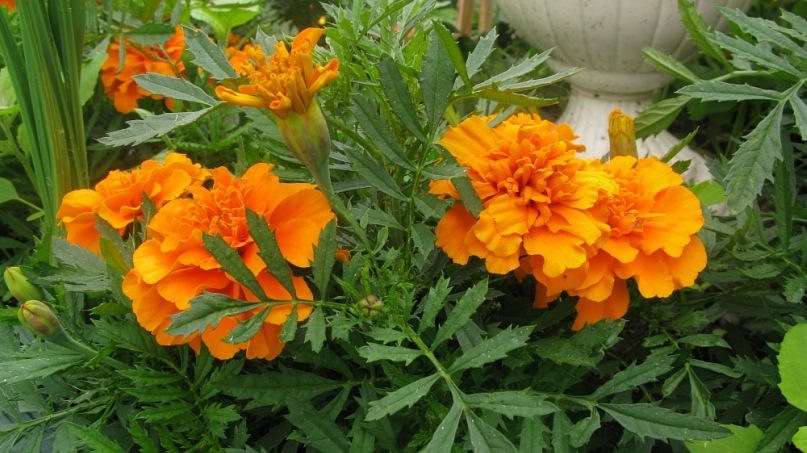 Катерина Старченко фотография #38