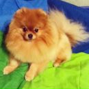 Julia Obukhova фотография #22 (источник - https://vk.com/id967301)