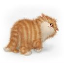 Фотография Гришиневой Анны