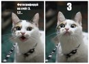 Фотография Вован Мошковский