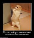 Катеринка Поліщук фотография #2 (источник - https://vk.com/id169542616)