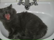 Фотография Смирнова Романа