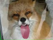 Фотография Верзуновой Юлии