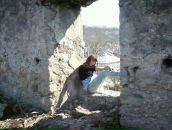 Іра Погорецька фотография #8 (источник - https://vk.com/id89554416)