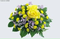 Діма Стасишин фотография #10 (источник - https://vk.com/id19819127)