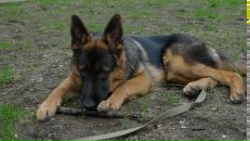 Фотография Портновой Катерины