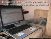 Фотография Корытовой Светланы
