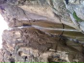 Паша Трыков фотография #10 (источник - https://vk.com/id97212)