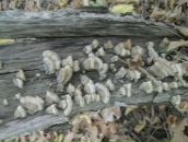 Віталій Панасюк фотография #9 (источник - https://vk.com/id67183575)