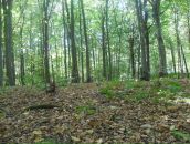 Віталій Панасюк фотография #25 (источник - https://vk.com/id67183575)