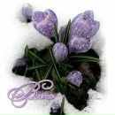 Олічка Лисюк фотография #5 (источник - https://vk.com/id21673946)