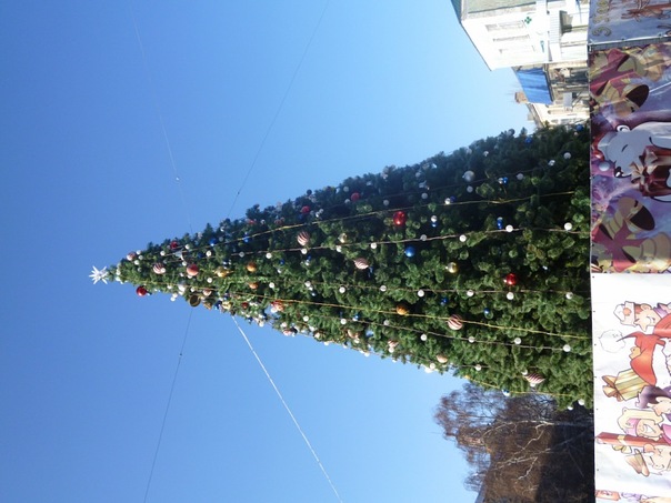 Сергей Ткаченко фото №43