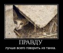 Анатолій Д фотография #20 (источник - https://vk.com/id38993689)