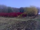 Андрій Білик фотография #26 (источник - https://vk.com/id25759168)