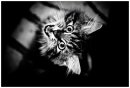 Виталий Ткач фотография #15 (источник - https://vk.com/id230984)