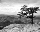 Оля Енот фотография #27 (источник - https://vk.com/id7027620)