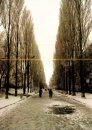 Андрій Кліпун фотография #24 (источник - https://vk.com/id13505125)