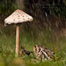 Нет Меня фотография #12 (источник - https://vk.com/id162482)