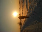 Наталья Літвінчук фотография #20 (источник - https://vk.com/id51439382)