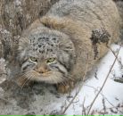 Фотография Нефёдова Михаила