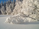 Фотография Юрий Трюфель