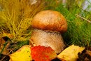 Ліда Маличкович фотография #28 (источник - https://vk.com/id162416393)