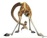 Фотография Ляпина Аркадия