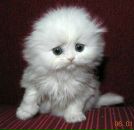 Наталі Кузнецова фотография #10 (источник - https://vk.com/id166853814)