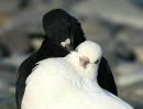 Іра Остяк фотография #44 (источник - https://vk.com/id57506821)