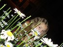 Alla Chepel фотография #1