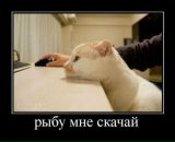 Вітя Тишкевич фотография #36 (источник - https://vk.com/id124334333)