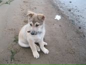 Фотография Карвонен Ольги