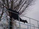 Максім Хоменко фотография #21 (источник - https://vk.com/id154836995)