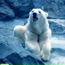 Андрій Сеньків фотография #5 (источник - https://vk.com/id8419866)