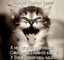Андрій Піговський фотография #9 (источник - https://vk.com/id165628577)