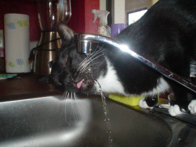 Igor Tarasov фото №39