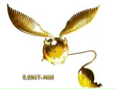 Killer Jam фотография #6 (источник - https://vk.com/id95943097)