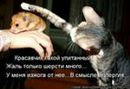 Фотография Даниил Оборин