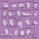 Фотография Худяковой Полины