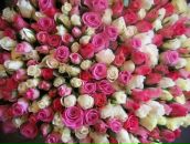 Игорь Серых фотография #10 (источник - https://vk.com/id35335097)