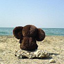 Тарас Звір фотография #1